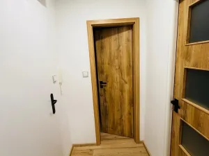 Pronájem bytu 1+1, Frýdek-Místek, Ostravská, 26 m2