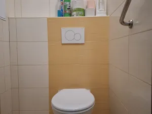 Prodej bytu 3+1, Tábor, Varšavská, 74 m2