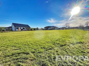 Prodej pozemku pro bydlení, Dolní Kralovice - Vraždovy Lhotice, 1071 m2