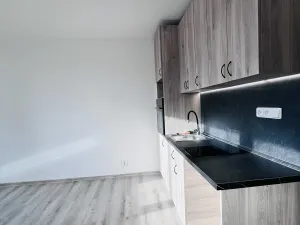 Pronájem bytu 1+kk, Frýdek-Místek, Habrová, 24 m2