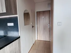 Pronájem bytu 1+kk, Frýdek-Místek, Habrová, 24 m2