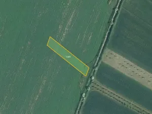 Prodej pole, Nesvačilka, 19558 m2