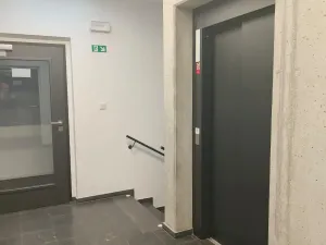 Pronájem bytu 2+kk, Plzeň - Východní Předměstí, Sladová, 55 m2