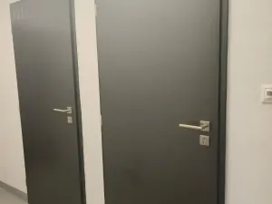 Pronájem bytu 2+kk, Plzeň - Východní Předměstí, Sladová, 55 m2