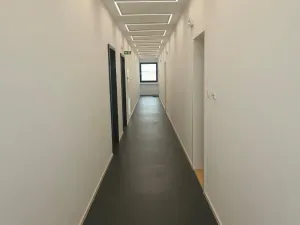 Pronájem bytu 2+kk, Plzeň - Východní Předměstí, Sladová, 55 m2