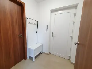 Prodej vícegeneračního domu, Pasohlávky, 320 m2