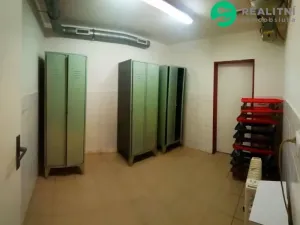 Pronájem skladu, Netvořice, Horní, 150 m2