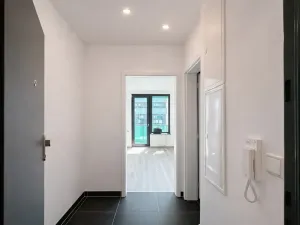 Pronájem bytu 1+kk, Praha - Žižkov, Olgy Havlové, 40 m2