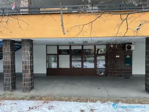 Pronájem obchodního prostoru, Frýdek-Místek, Slezská, 52 m2