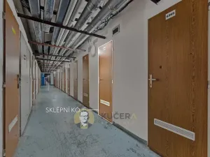 Prodej bytu 2+kk, Praha - Troja, Hnězdenská, 46 m2