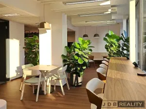 Pronájem kanceláře, Praha - Nusle, Lomnického, 200 m2