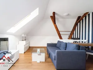 Pronájem apartmánu, Ostrava, Cihelní, 43 m2