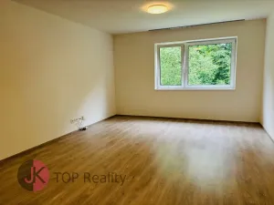 Pronájem bytu 2+kk, Velké Popovice, V parku, 59 m2