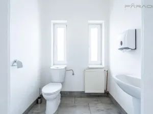 Pronájem kanceláře, Mladá Boleslav - Mladá Boleslav II, 450 m2