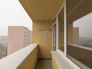 Prodej bytu 1+1, Ostrava - Hrabůvka, Dr. Martínka, 33 m2