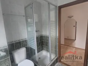 Pronájem bytu 3+1, Opava - Předměstí, třída Spojenců, 80 m2