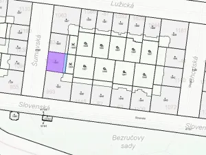 Dražba bytu 2+1, Praha - Vinohrady, Šumavská, 93 m2