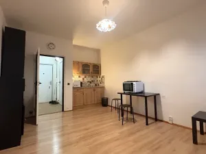 Pronájem bytu 1+kk, Brno, Halasovo náměstí, 26 m2