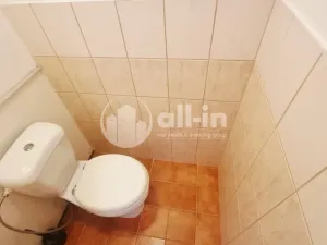 Pronájem bytu 1+1, Vyškov - Vyškov-Předměstí, Sportovní, 39 m2