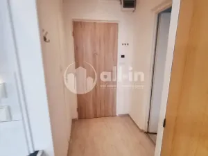 Pronájem bytu 1+1, Vyškov - Vyškov-Předměstí, Sportovní, 39 m2