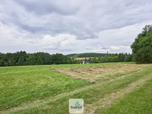 Prodej louky, Osek, 1013 m2