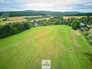 Prodej louky, Osek, 1012 m2