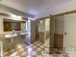 Prodej obchodního prostoru, Svitavy, Vojanova, 401 m2