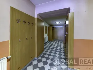 Prodej obchodního prostoru, Svitavy, Vojanova, 401 m2