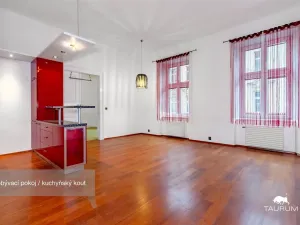 Pronájem bytu 3+kk, Plzeň - Jižní Předměstí, Havlíčkova, 98 m2