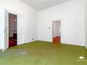 Pronájem bytu 3+kk, Plzeň - Jižní Předměstí, Havlíčkova, 98 m2