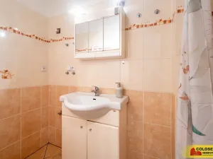 Prodej rodinného domu, Vyškov - Vyškov-Předměstí, 63 m2