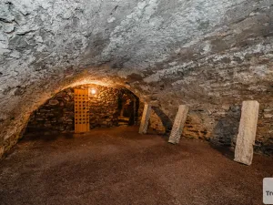 Prodej rodinného domu, Loket, T. G. Masaryka, 562 m2