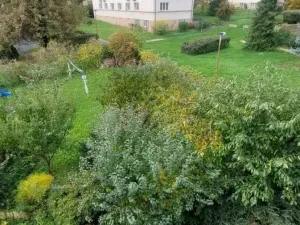 Pronájem bytu 2+1, Praha - Dejvice, Na Šťáhlavce, 61 m2