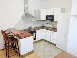 Pronájem bytu 1+kk, Praha, Mikanova, 40 m2