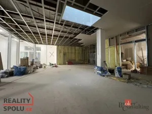 Pronájem ordinace, Hlučín, Cihelní, 113 m2