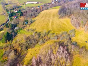 Prodej louky, Žandov - Radeč, 3251 m2