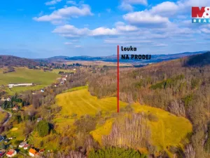 Prodej louky, Žandov - Radeč, 3251 m2