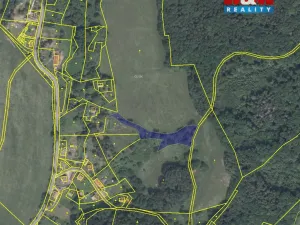 Prodej louky, Žandov - Radeč, 3251 m2