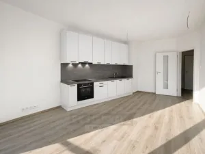 Pronájem bytu 1+kk, České Budějovice - České Budějovice 2, Na Zlaté stoce, 28 m2