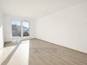 Pronájem bytu 1+kk, České Budějovice - České Budějovice 2, Na Zlaté stoce, 28 m2