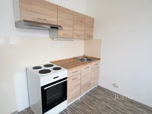 Pronájem bytu 1+kk, Písek - Budějovické Předměstí, Dr. M. Horákové, 20 m2