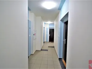 Pronájem bytu 2+kk, Praha - Žižkov, V zahrádkách, 55 m2