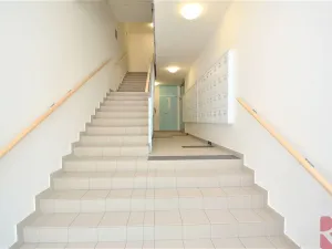 Pronájem bytu 2+kk, Praha - Žižkov, V zahrádkách, 55 m2