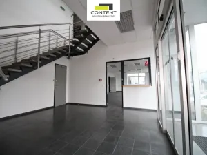 Pronájem skladu, Karviná - Staré Město, Dětmarovická, 10446 m2