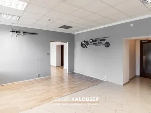 Pronájem kanceláře, Ivančice - Němčice, Ke Karlovu, 164 m2