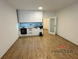 Pronájem bytu 1+kk, Opava, 42 m2