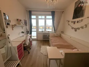 Prodej bytu 3+1, Most, Zdeňka Štěpánka, 60 m2