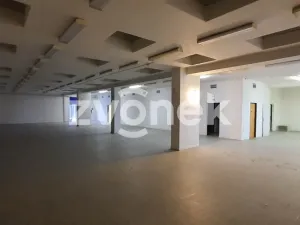 Pronájem skladu, Ostrožská Nová Ves, 1272 m2