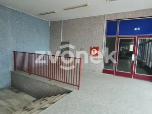 Pronájem skladu, Ostrožská Nová Ves, 1272 m2