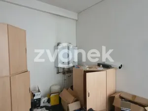 Pronájem skladu, Ostrožská Nová Ves, 1272 m2